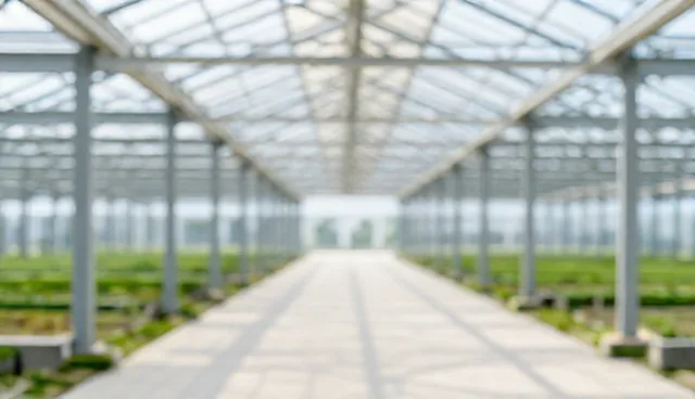 技术转让选型关注点:实际环节中的关键问题